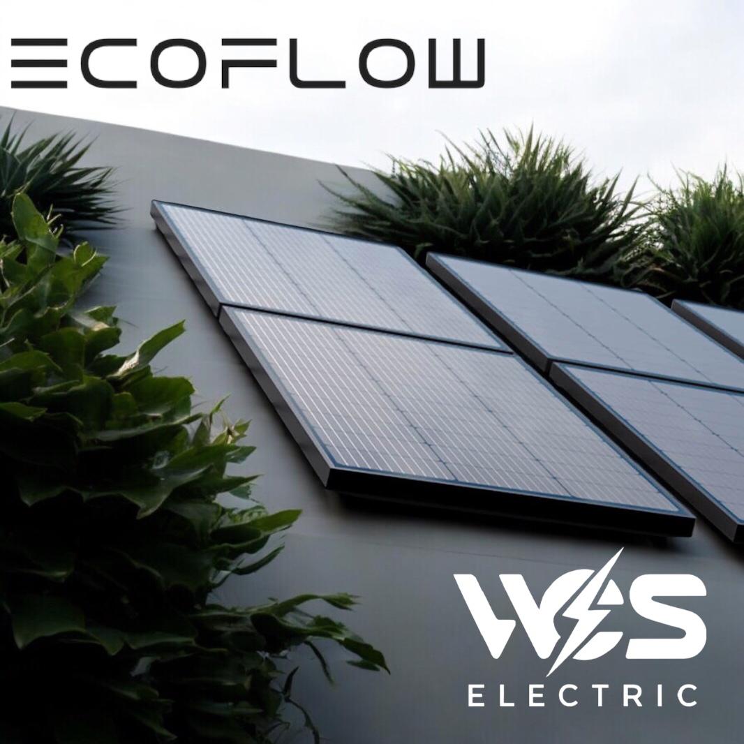 Panel Solar Rígido Ecoflow De 100w (2 Unidades)